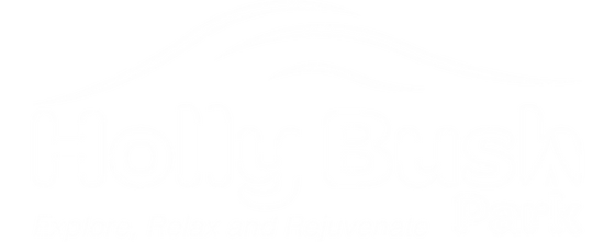 Holly Bus logo Vec white.png